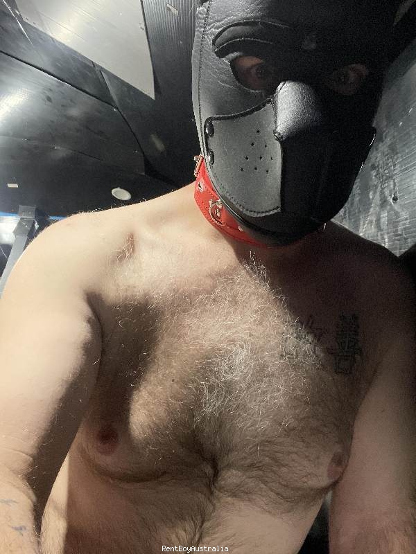 Timothy.James Gay Escort Melbourne 0449075400 BoyExpress.net
